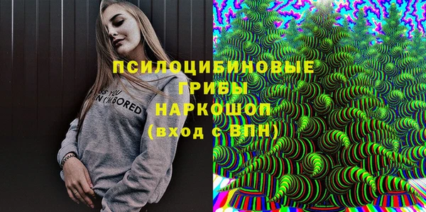 спайс Лагань