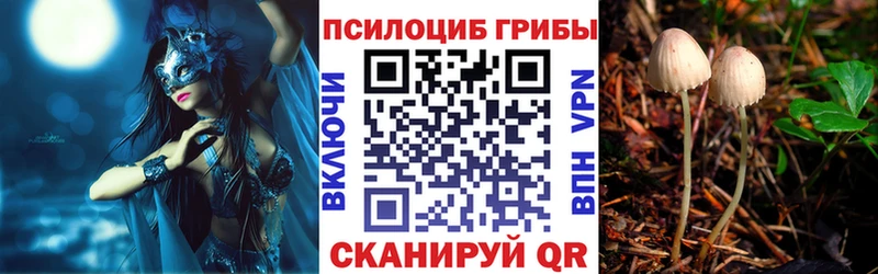 Галлюциногенные грибы Psilocybe  Ува 